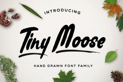 Tiny Moose Font Family