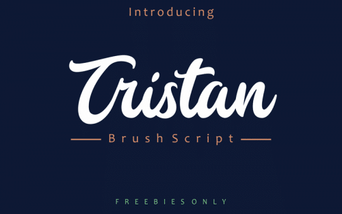 Tristan Script Font