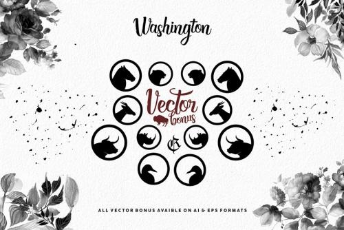 Washington Typeface