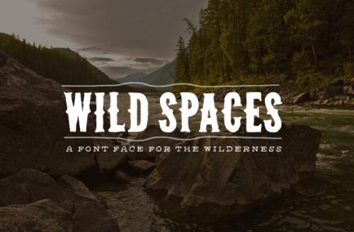 Wg Wild Spaces Font