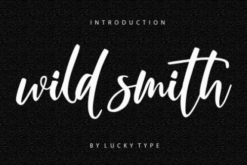 Wild Smith Modern Script Font Wild Latin Font