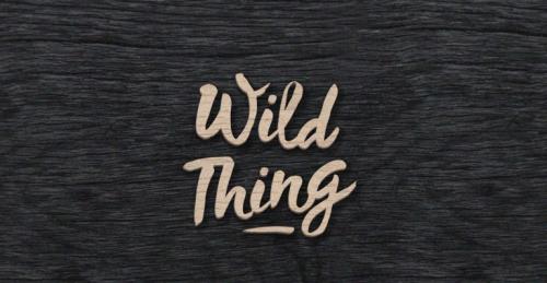 Wild Thing Font