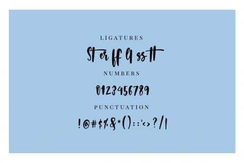 Wild Wanderlust Script Font
