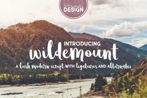 Wildemount Script Font
