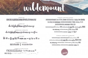 Wildemount Script Font