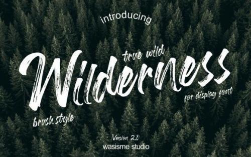 Wilderness Brush Font
