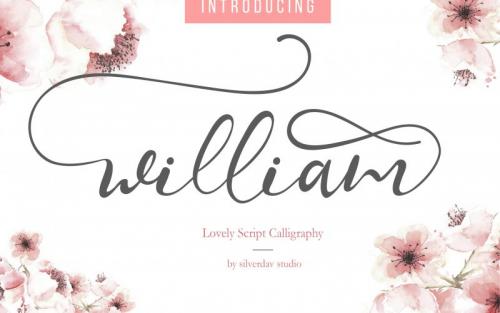 William Calligraphy Font