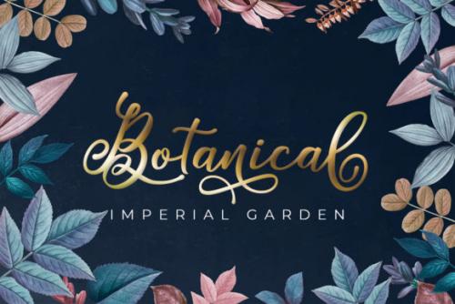 Window Script Font