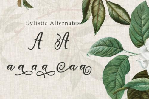 Window Script Font