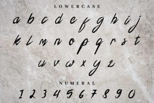 Xander Bruce Brush Font