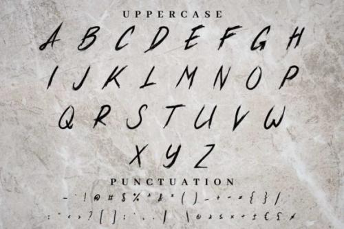 Xander Bruce Brush Font