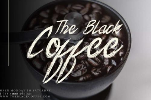 Xander Bruce Brush Font