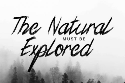 Xander Bruce Brush Font