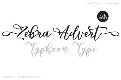 Zebra Advert Calligraphy Font